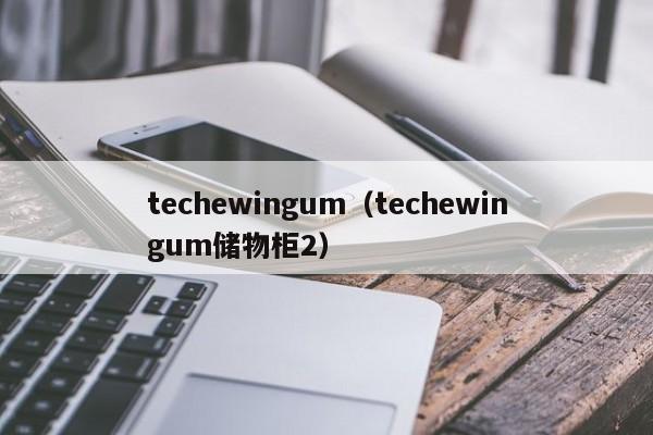 ewingum（ewingum储物柜2）