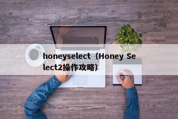 honeyselect（Honey Select2操作攻略）